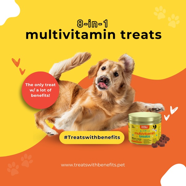 A high-contrast, benefit-focused ad creative for dog multivitamin treats utilizing bold colors and a central product placement to drive interest.